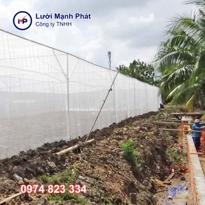 Cách làm nhà lưới trồng rau (A-Z): Chi phí & vật tư chi tiết