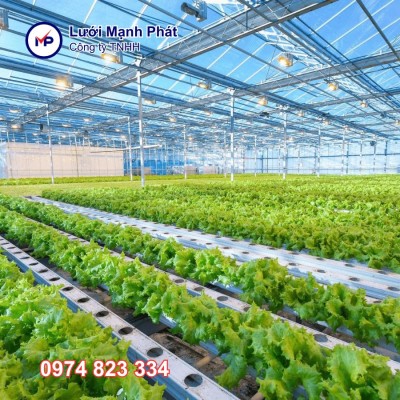 Nông nghiệp sạch là gì? 5 Mô hình nông nghiệp sạch phổ biến nhất