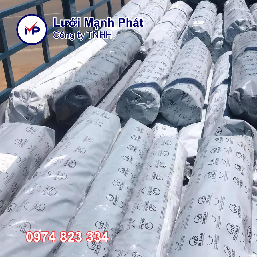 gia mang nha kinh ginegar israel