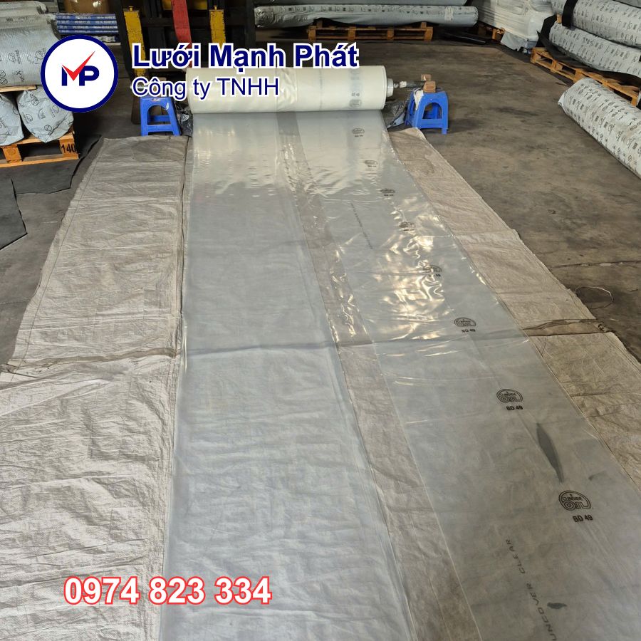Màng kính Ginegar Israel - 4m2 x 100