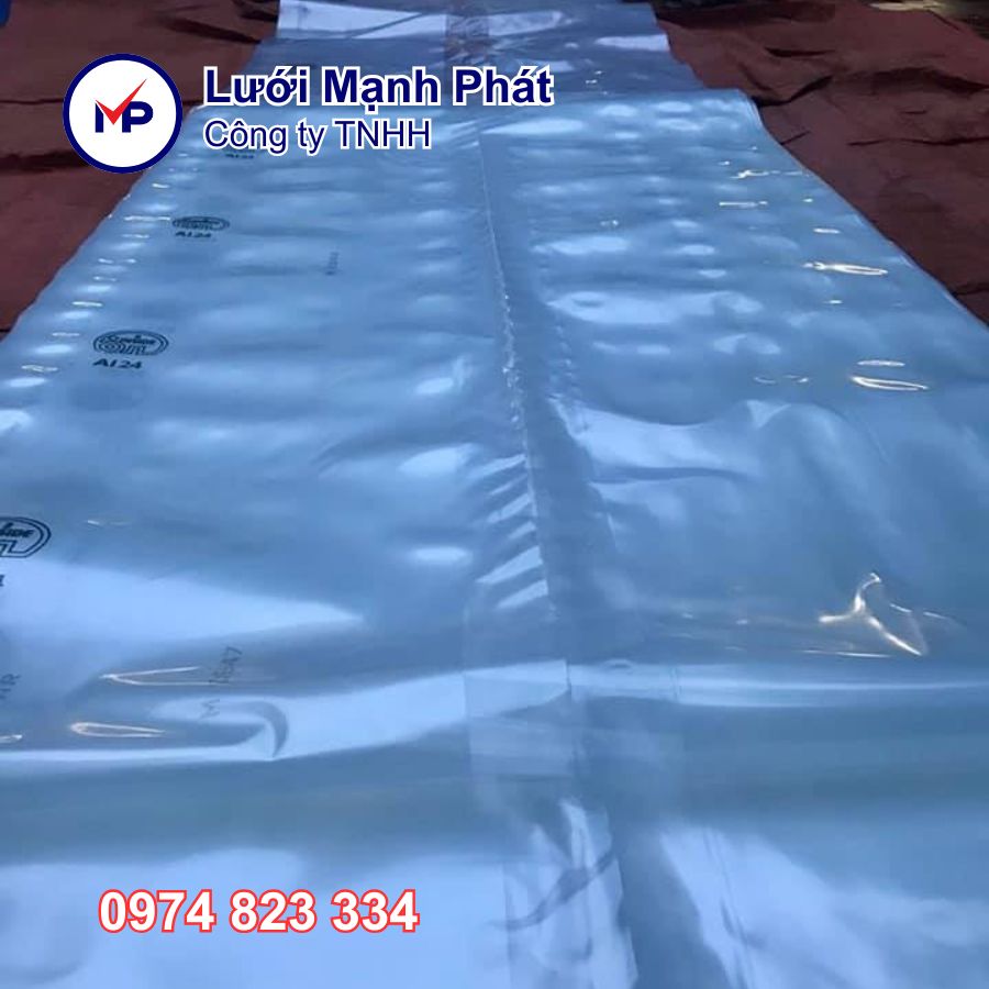 Màng kính Ginegar israel - 2m2 x 100