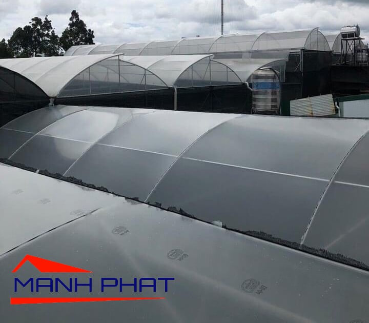 Màng kính Ginegar israel - 3m2 x 100
