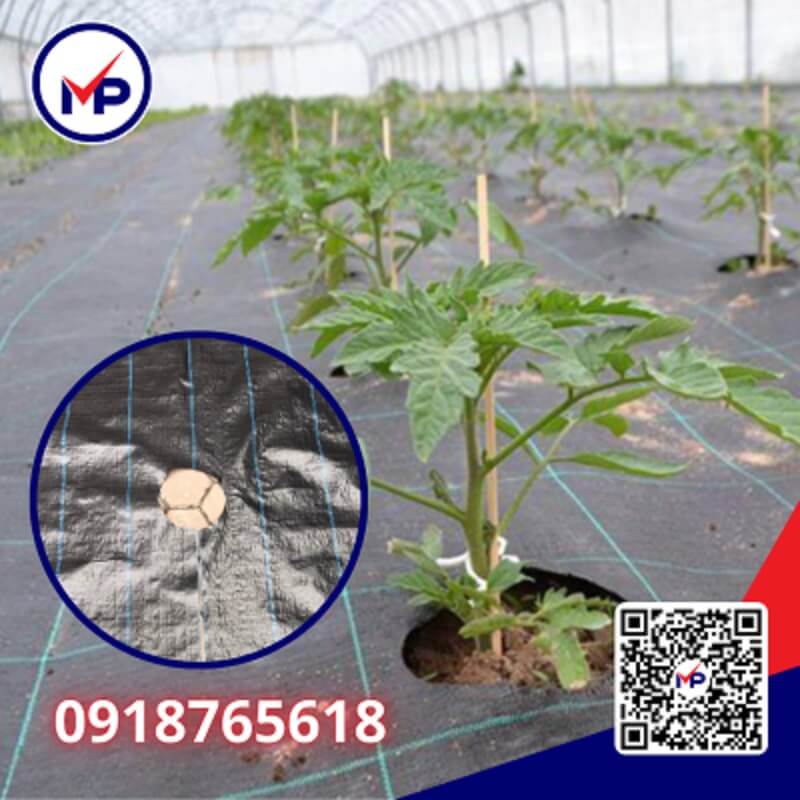 Bạt phủ chống cỏ PD120 120gr - 1.5m x 200 m