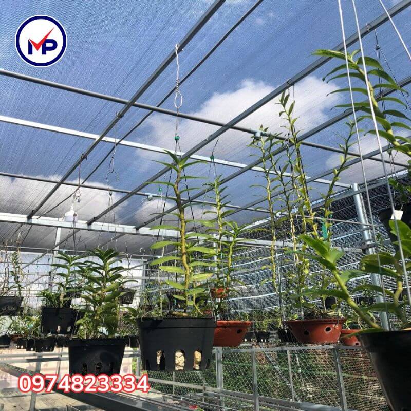 lưới chống nắng đài loan 80%