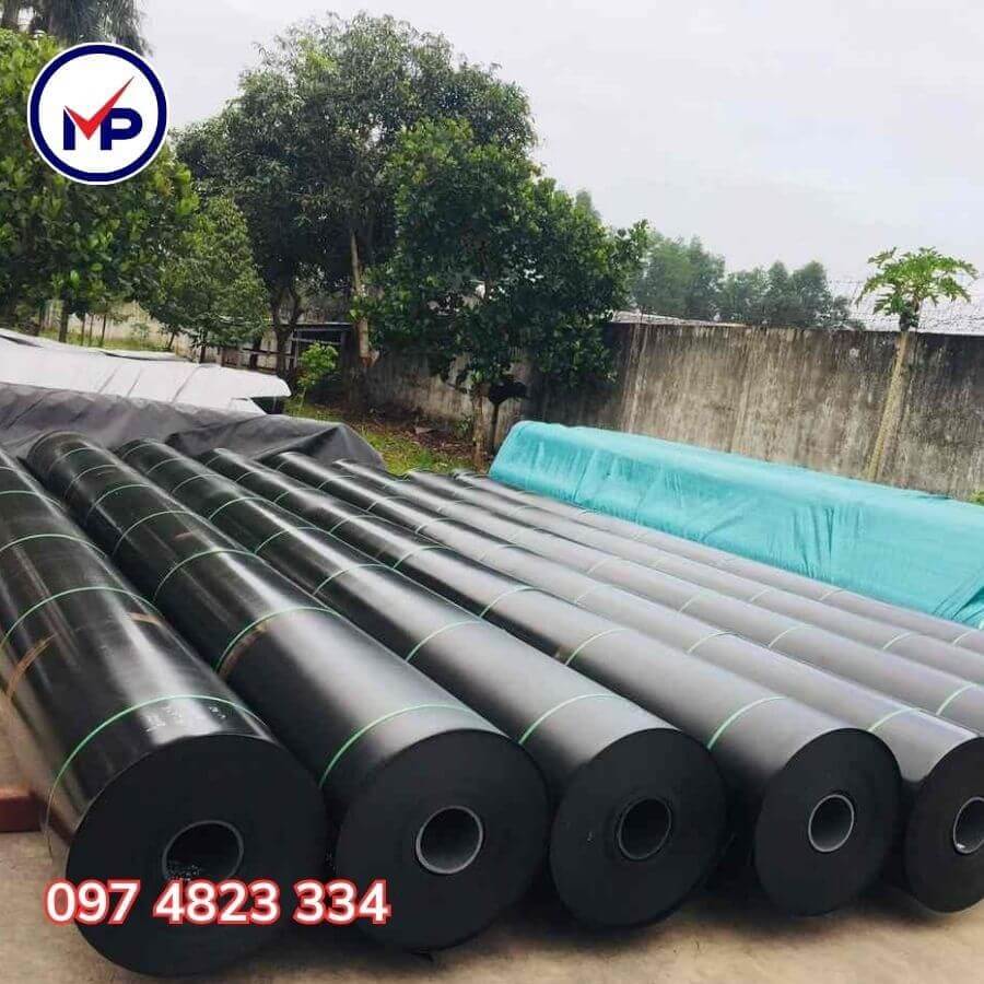 bạt lót hồ cá