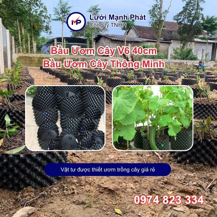 Bầu Ươm Cây V6 40cm