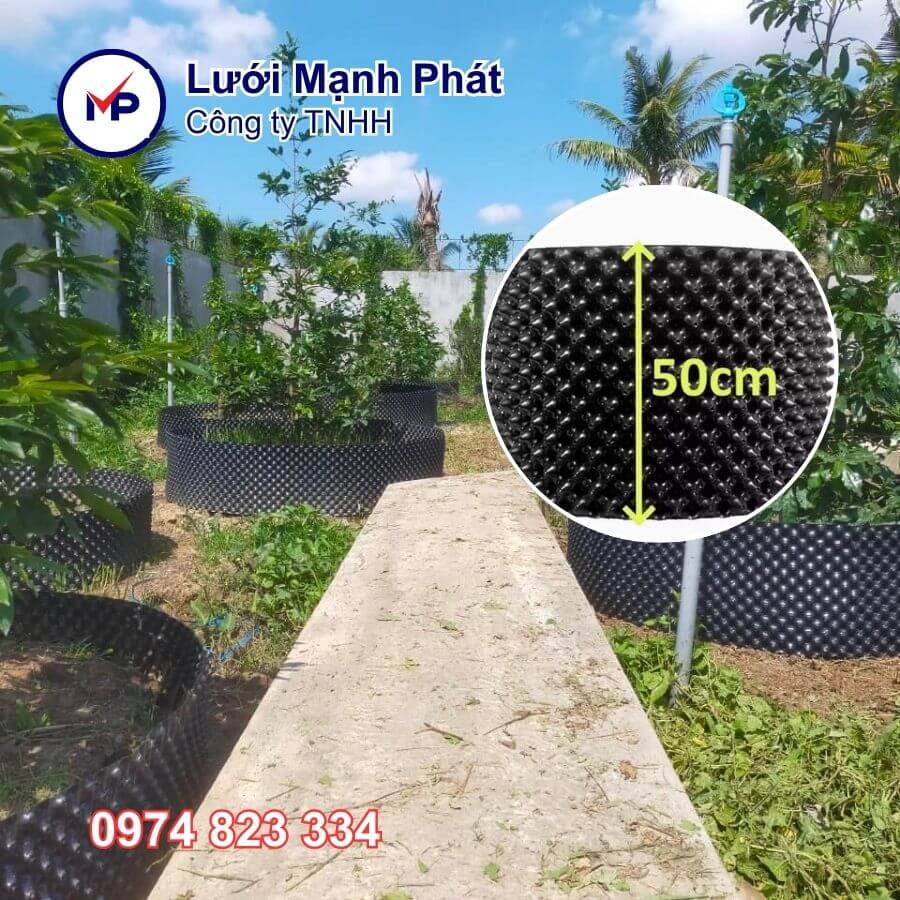 bầu ươm v6 50cm