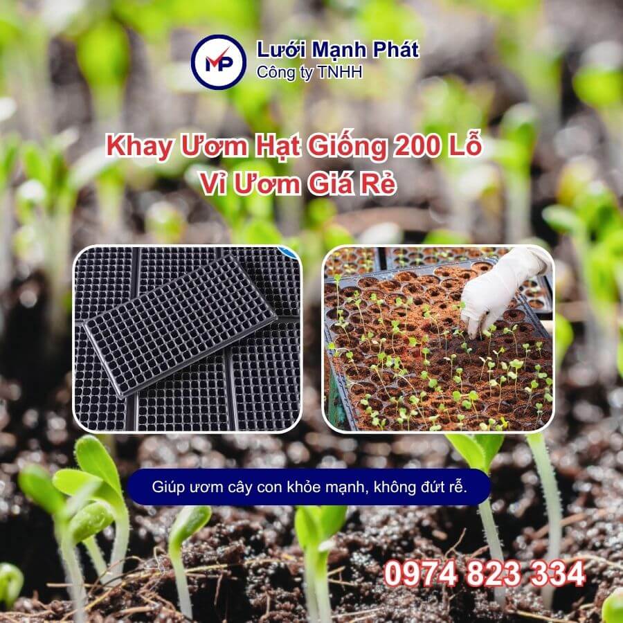 khay ươm cây giống 200 lỗ