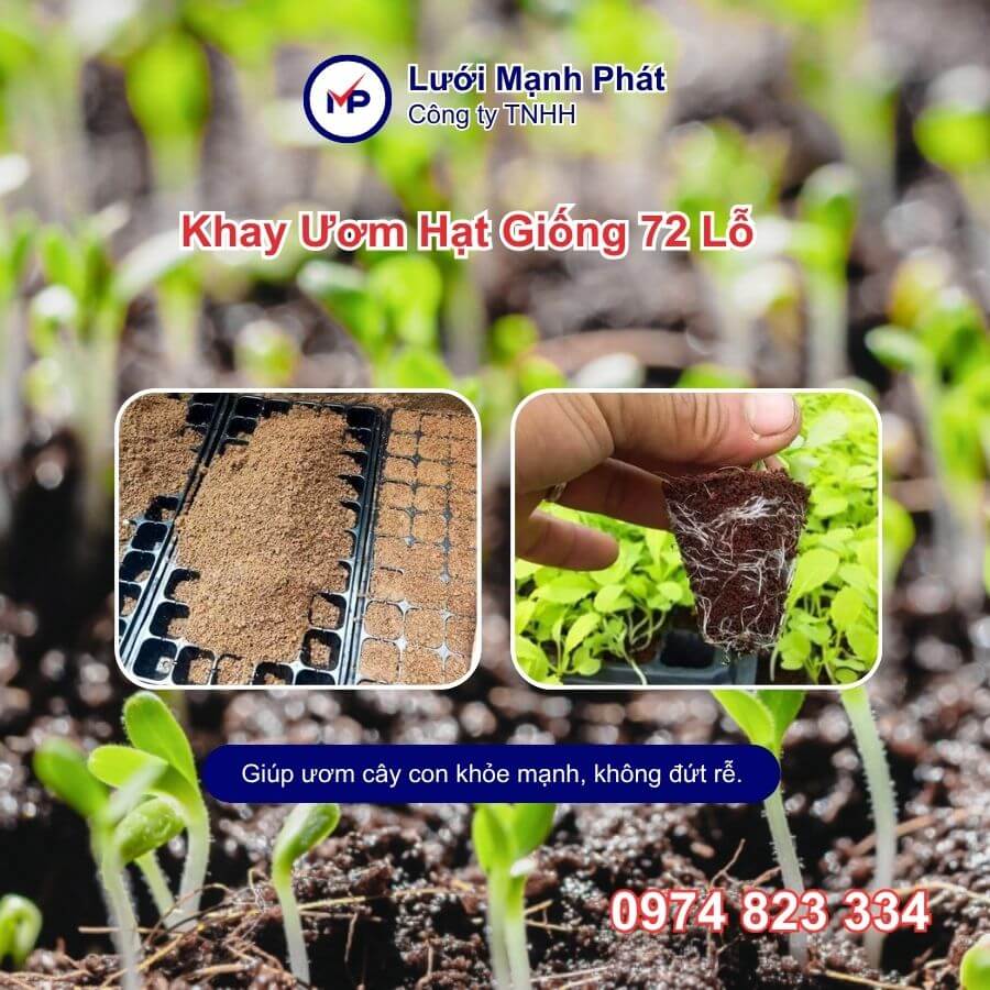 khay ươm cây giống 72 lỗ