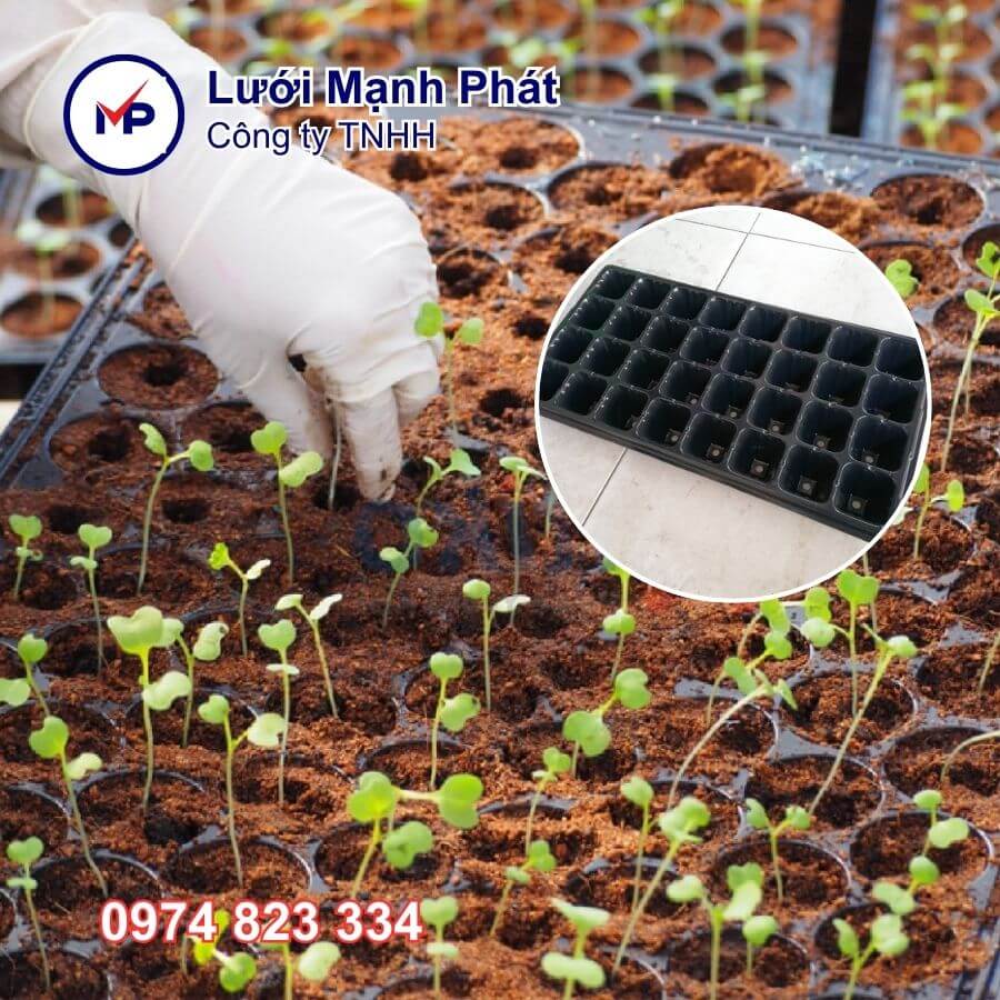 khay ươm giống 32 lỗ