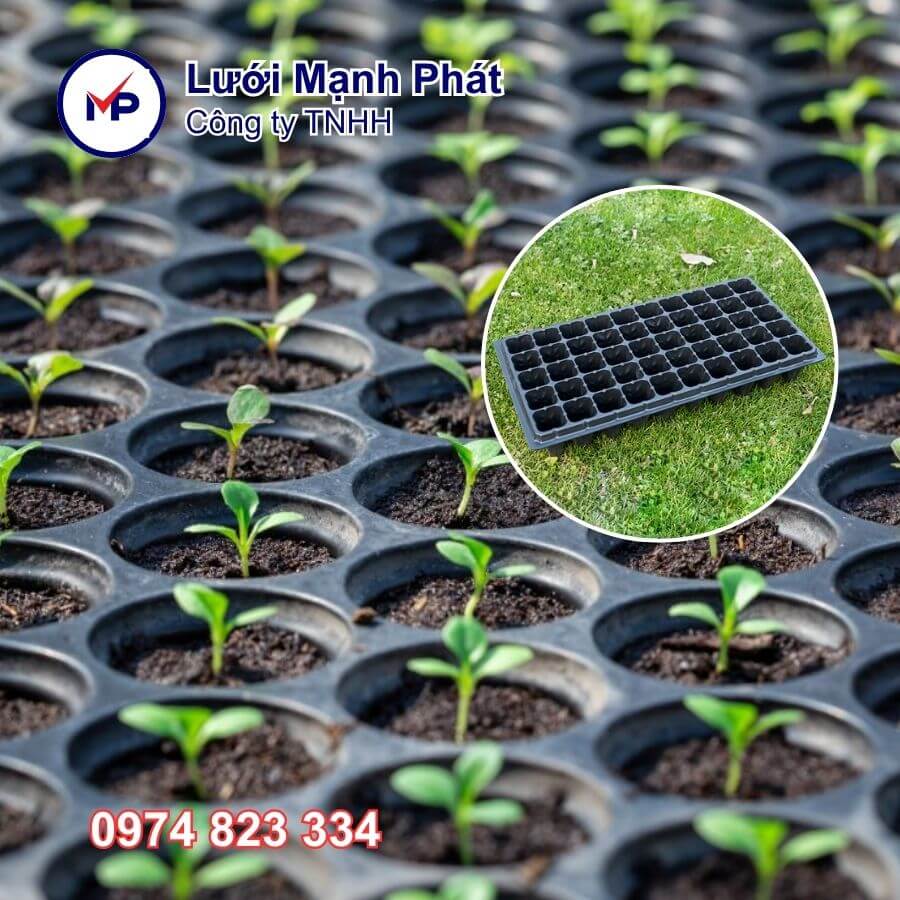 khay ươm giống 50 lỗ