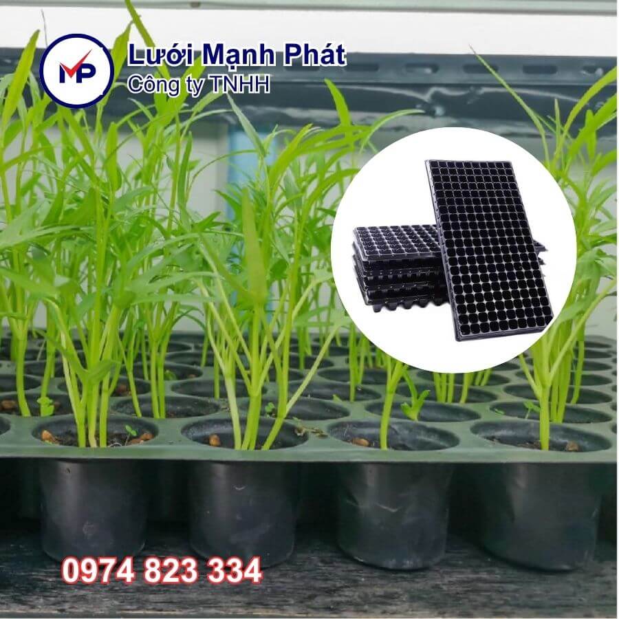 khay ươm hạt 200 lỗ