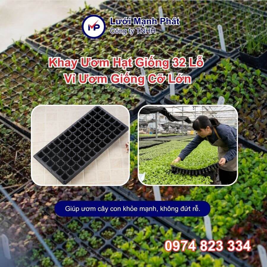 khay ươm hạt 32 lỗ