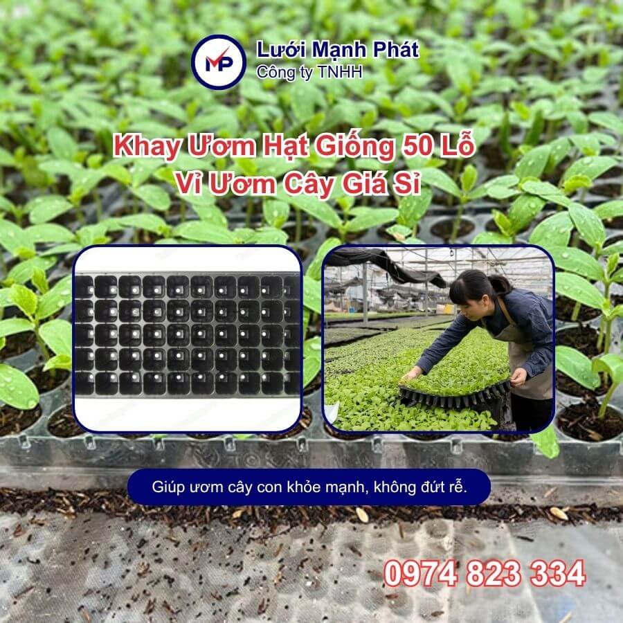 khay ươm hạt 50 lỗ