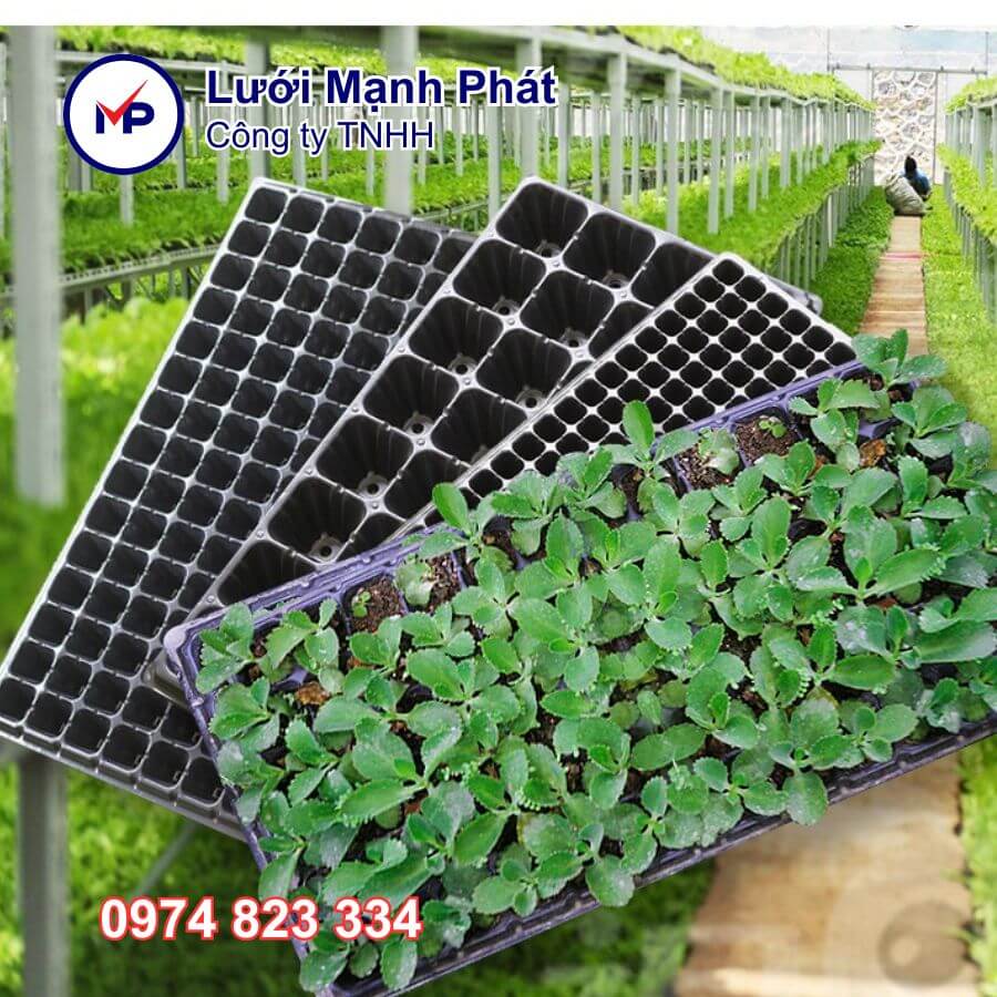 khay ươm hạt 72 lỗ