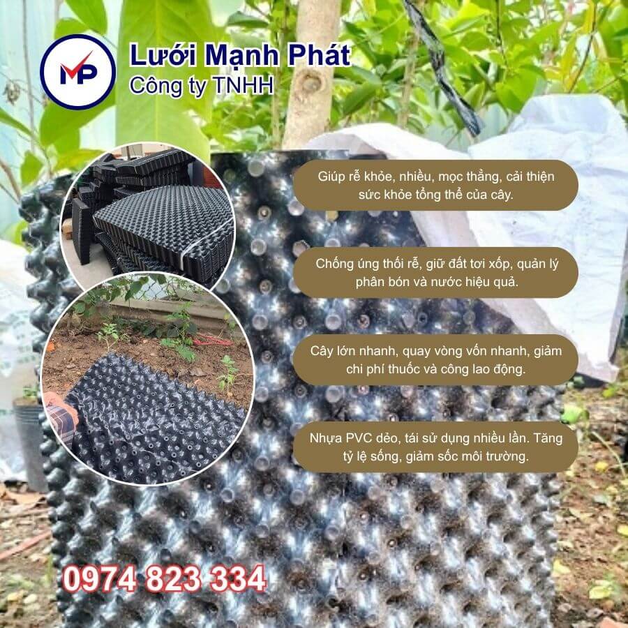 ưu điểm bầu ươm cây v6 50cm