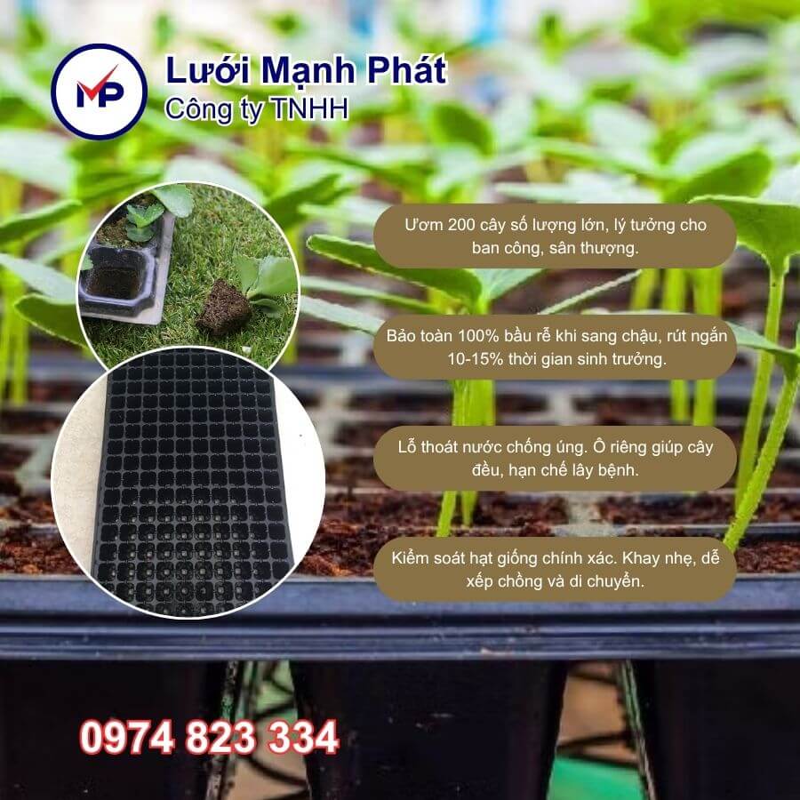 ưu điểm khay ươm hạt giống 200 lỗ