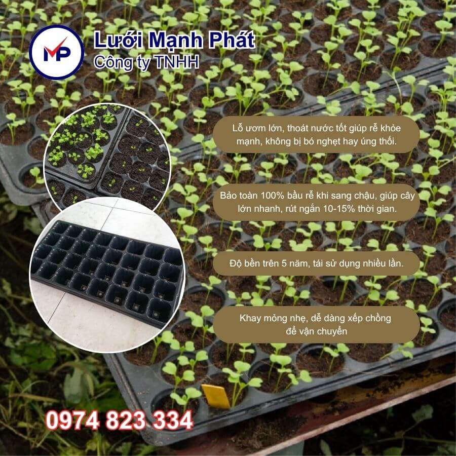ưu điểm khay ươm hạt giống 32 lỗ