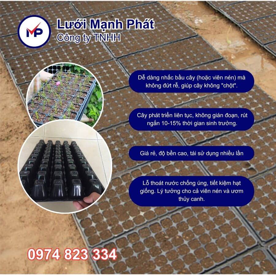 khay ươm hạt giống 50 lỗ