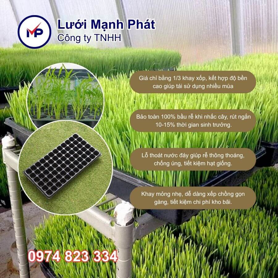 ưu điểm khay ươm hạt giống 72 lỗ