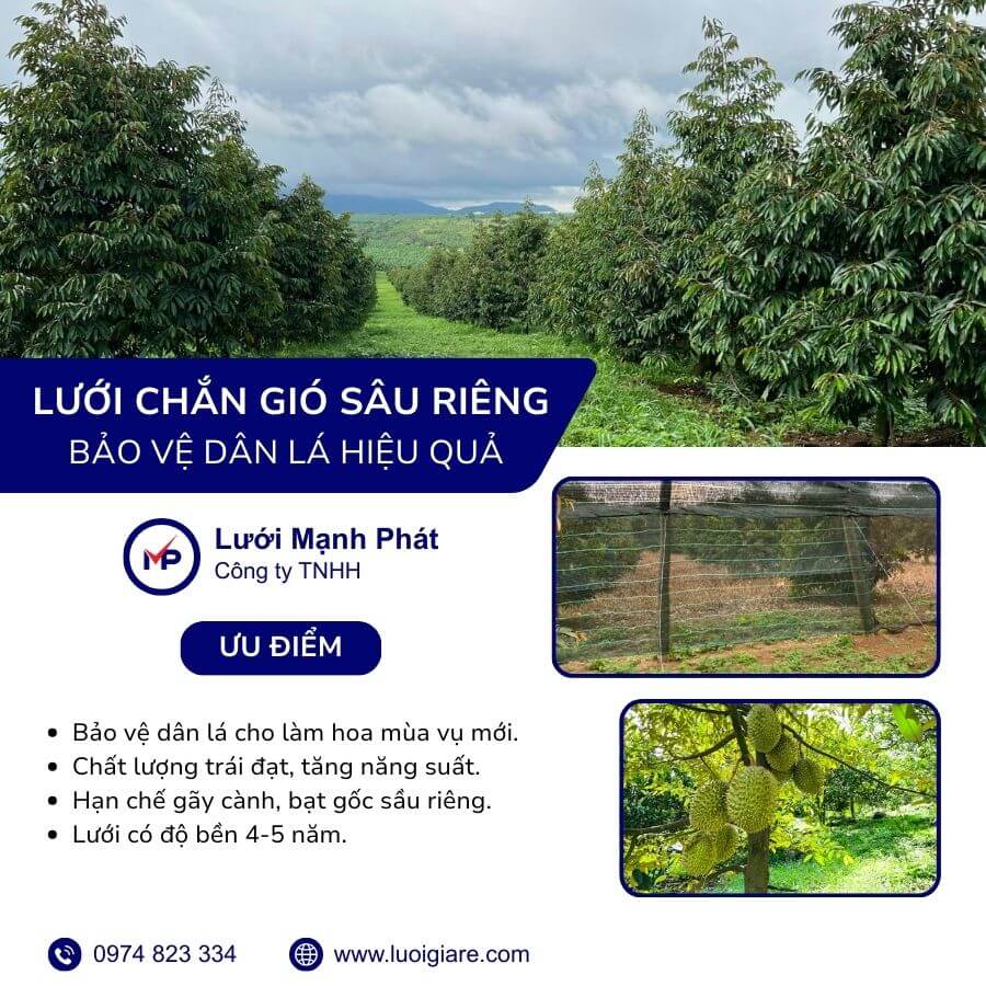lưới chắn gió cây sầu riêng