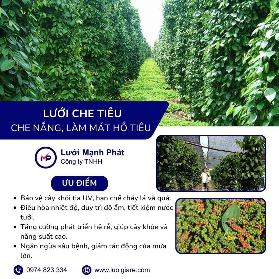 lưới che hồ tiêu