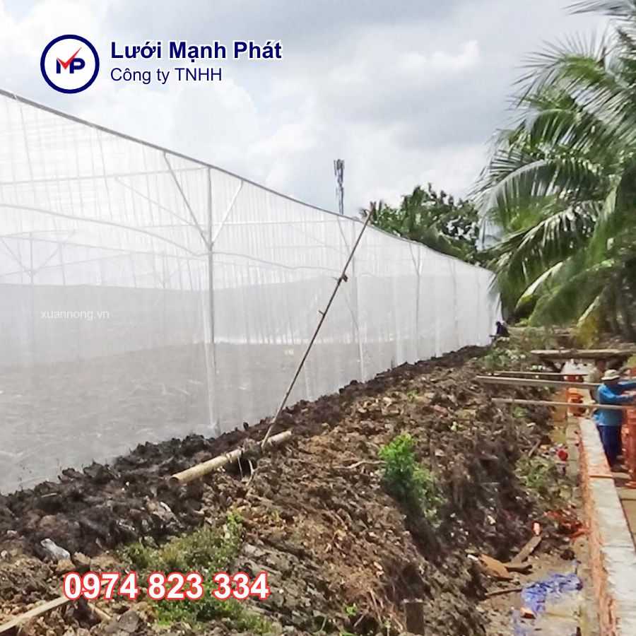 Nhà lưới trồng rau hữu cơ