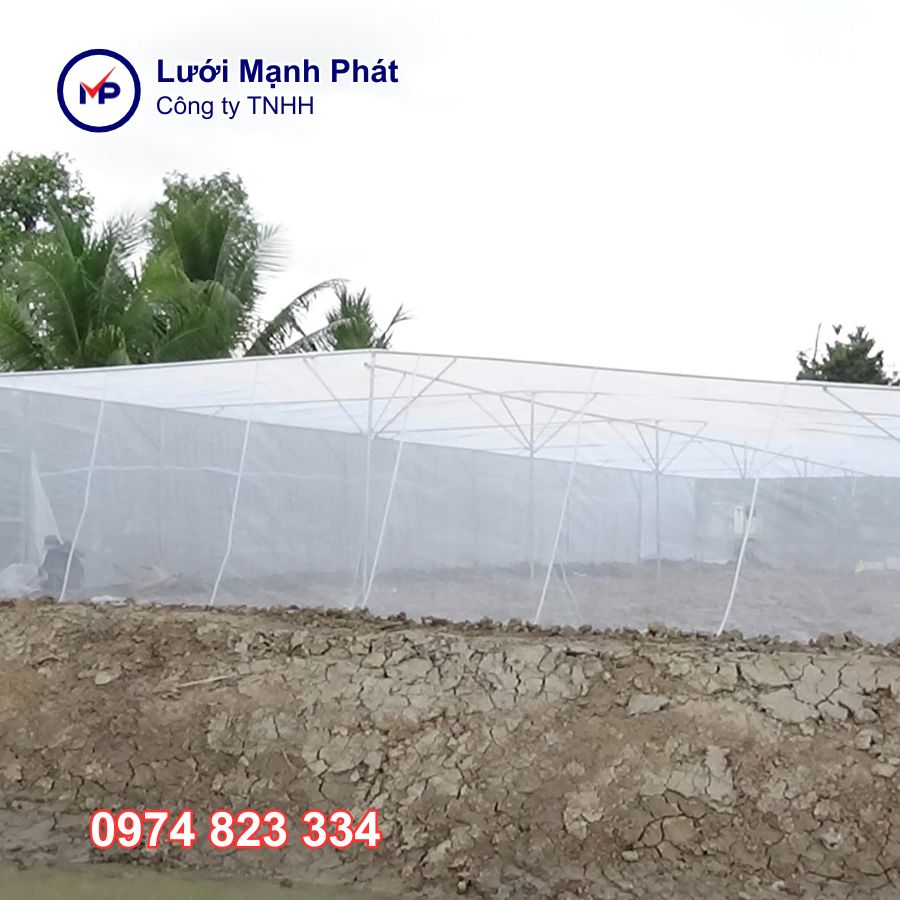 Nhà lưới trồng rau sân thượng