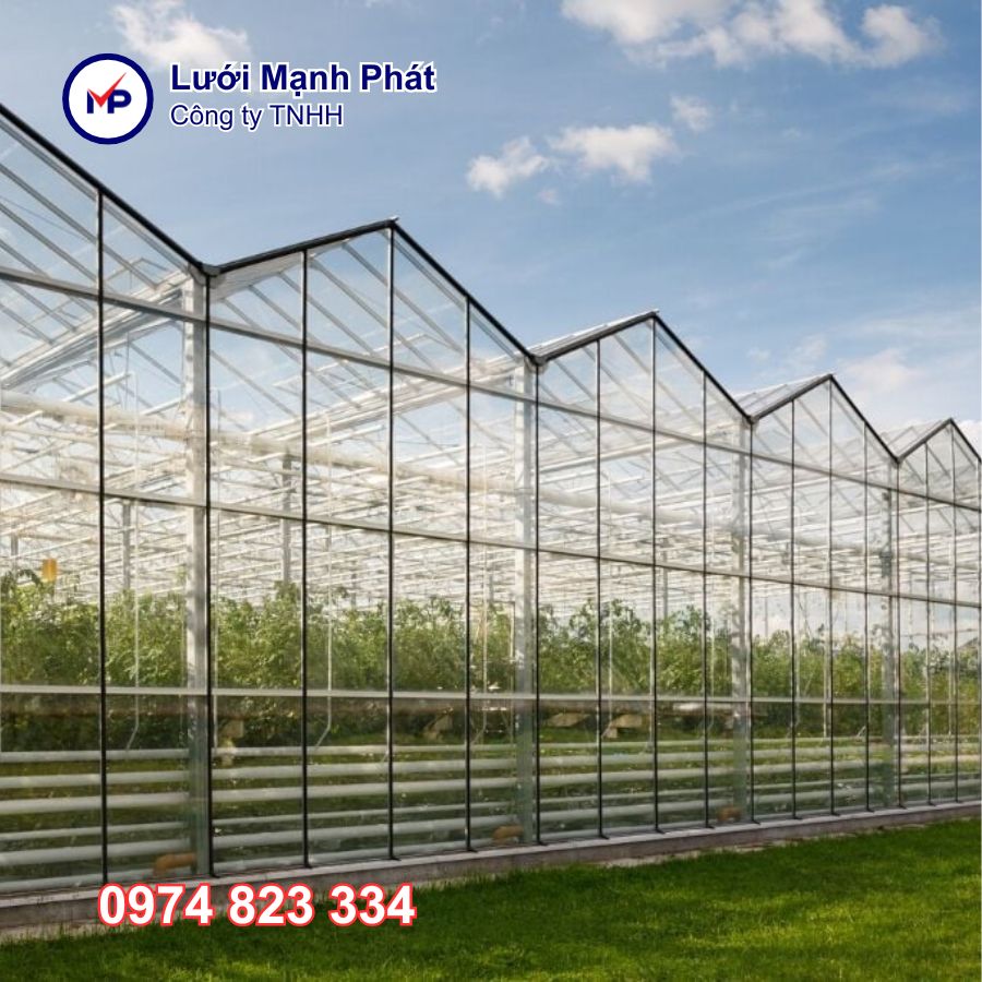 Mô hình nhà lưới trồng rau sạch
