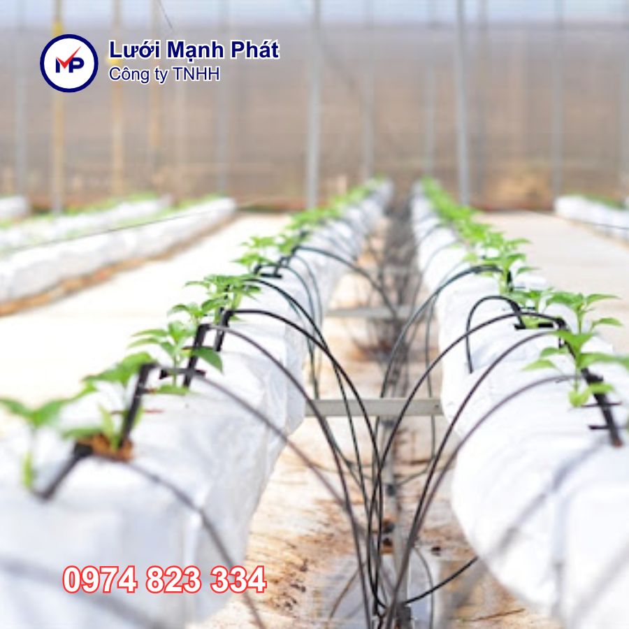 Các tiêu chí đảm bảo cho nông nghiệp sạch 1	 2 3 4 5 6 7 8 9 10 Tiếp