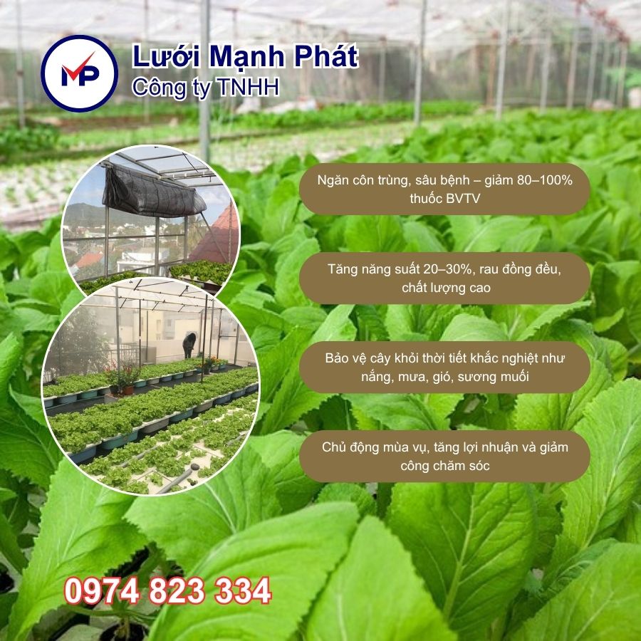 Cách làm nhà lưới trồng rau đơn giản