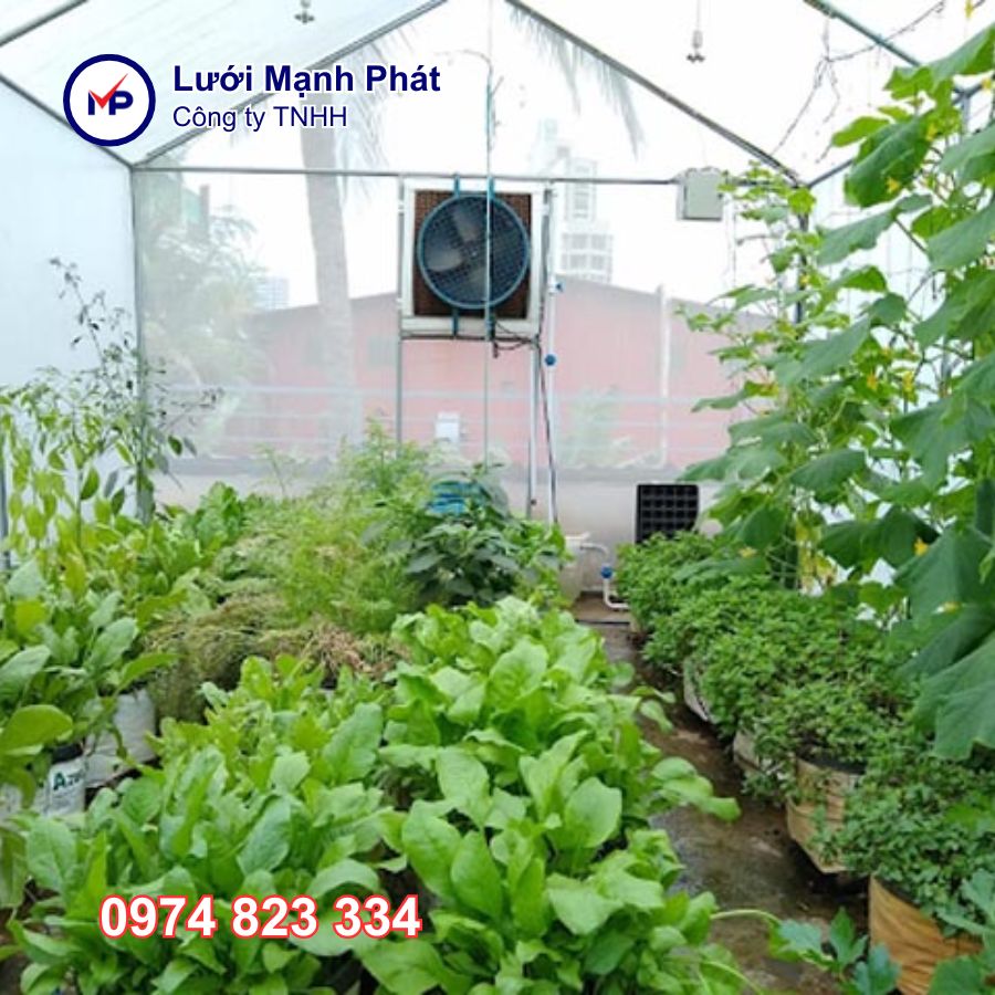 Chi phí làm nhà lưới 100m2