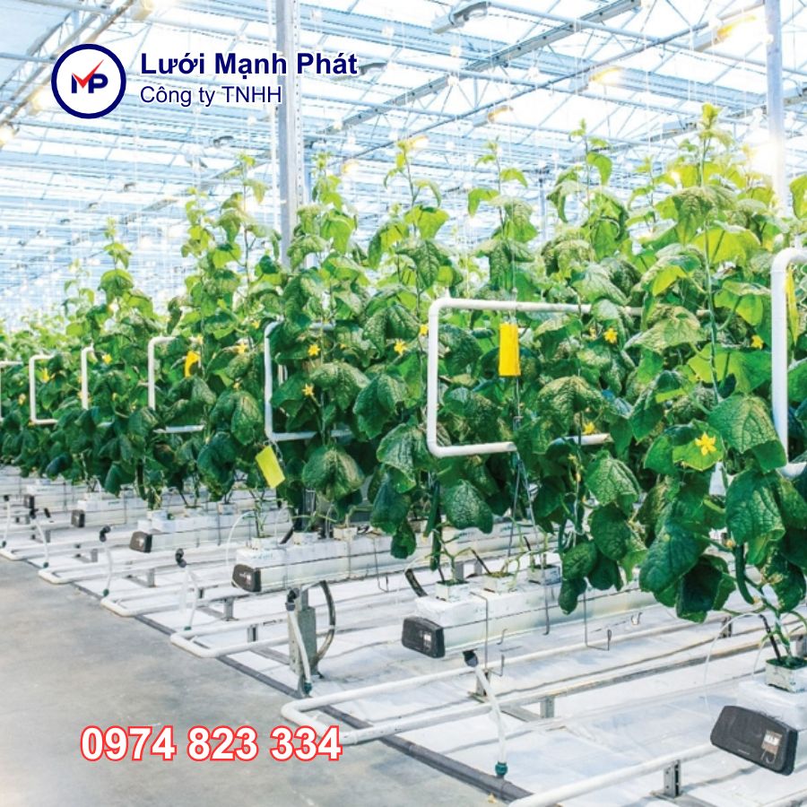 Các mô hình nông nghiệp hiệu quả