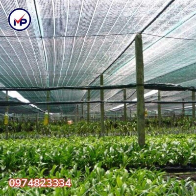 Lưới đen che nắng