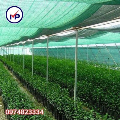 Lưới che nắng trồng rau