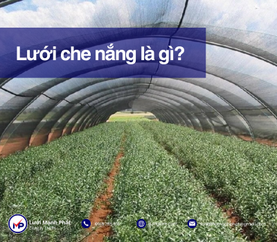 Lưới che nắng là gì? Khái niệm mới và chuẩn nhất