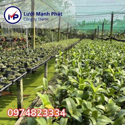 Bí quyết chọn lưới che nắng phù hợp, tối ưu hiệu quả che nắng