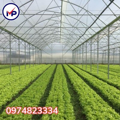 Làm nhà lưới trồng rau