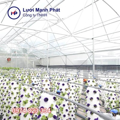 nhà màng trồng rau thủy canh​