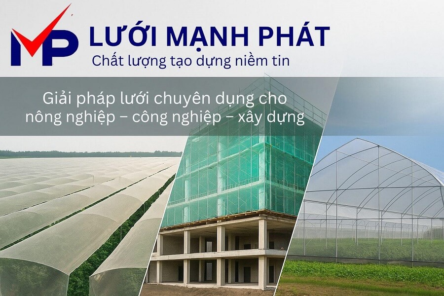 giới thiệu công ty tnhh lưới mạnh phát