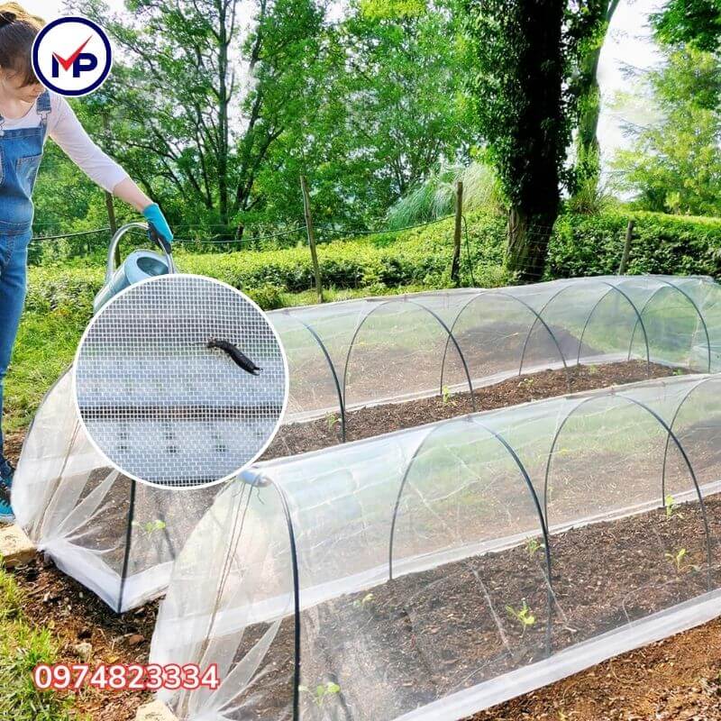 lưới chắn côn trùng 18 mesh trồng rau