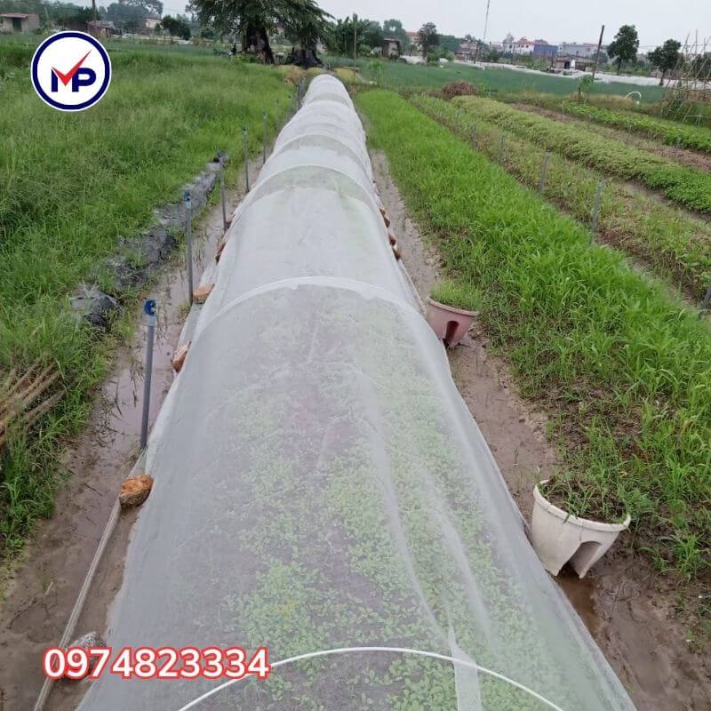 lưới chống côn trùng 32 mesh trồng rau