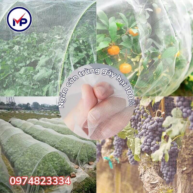 Lưới chắn côn trùng 50 mesh