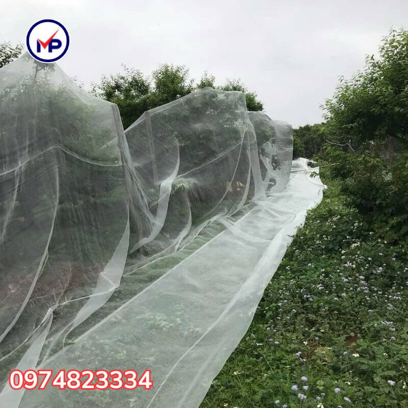 lưới chống côn trùng khổ 2m 3m 4m