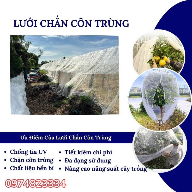lưới ngăn côn trùng 25 mesh