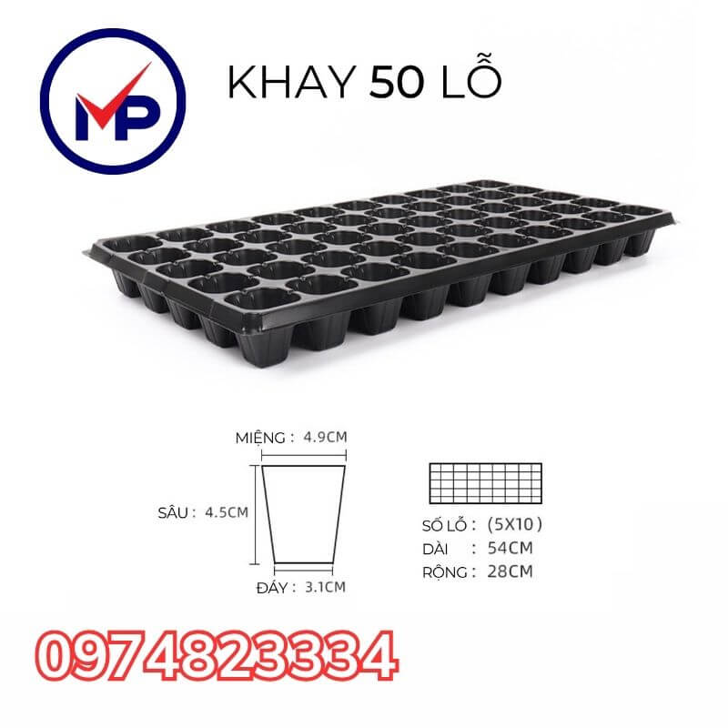 Khay ươm hạt giống 50 lỗ