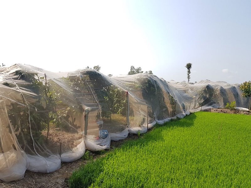 lưới chắn côn trùng cây ăn trái