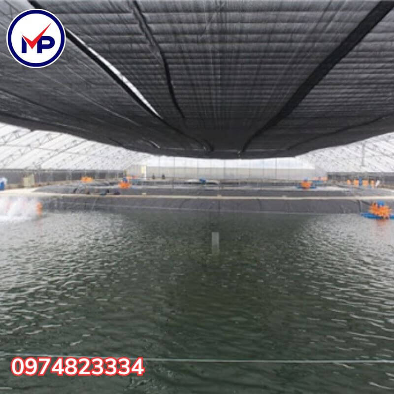 lưới che nắng ao nuôi tôm cá