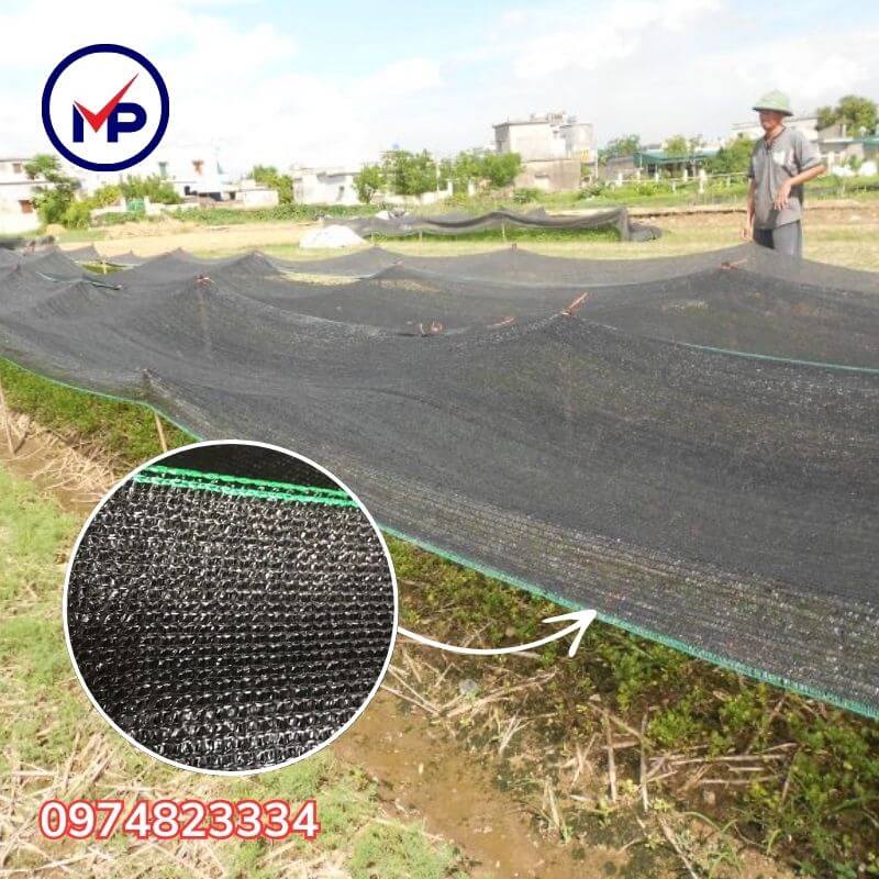 lưới trồng rau giá rẻ