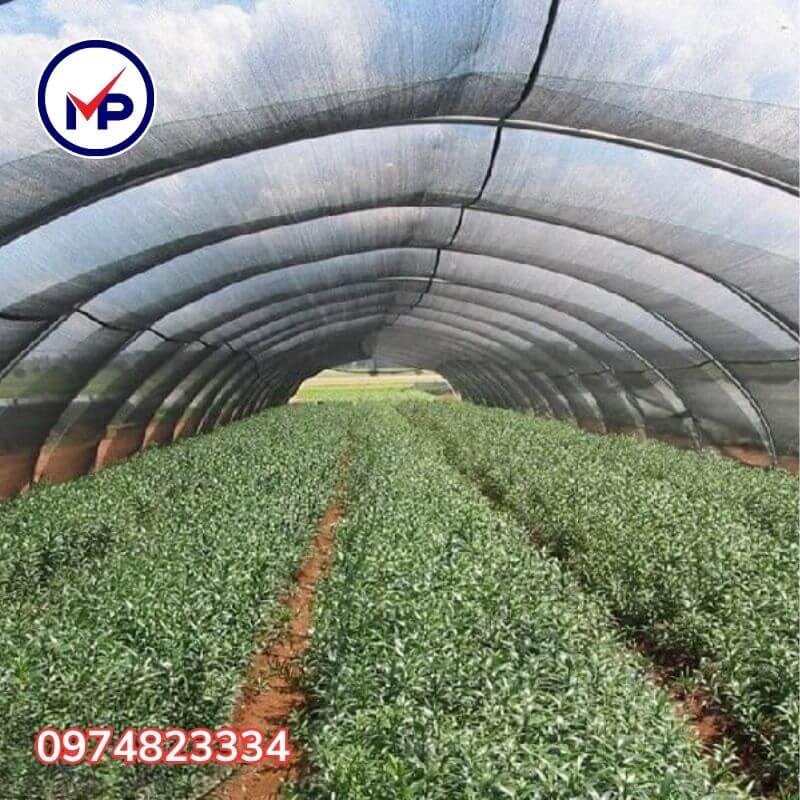 mua lưới trồng rau ở đâu